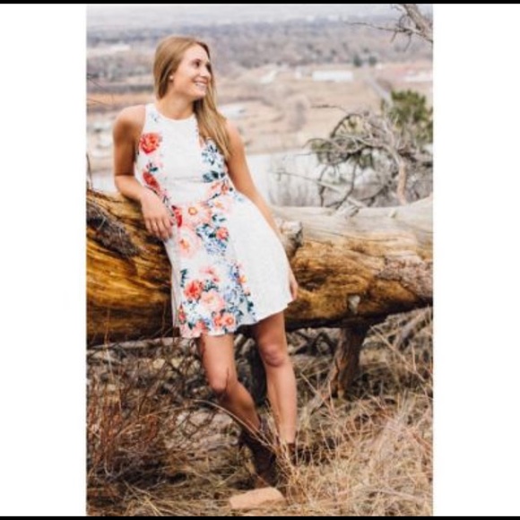 minkpink wild jasmine tea dress